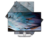 DELL OEM 23.8 inch S2421HS FreeSync IPS monitor